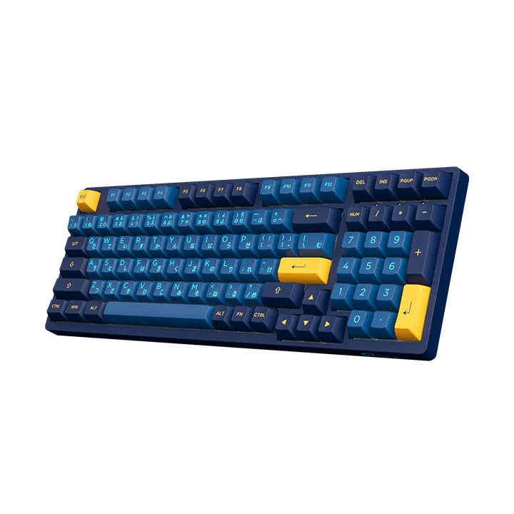 Akko 3098 Macaw Hiragana Version RGB Full Size Hot-Swappable Mechanical Keyboard (Akko CS Lavender Purple)