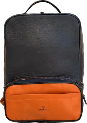 The Leather Backpack (Laptop)